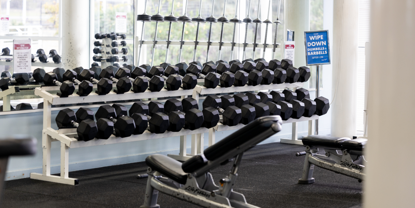 A photo of a dumbbell rack