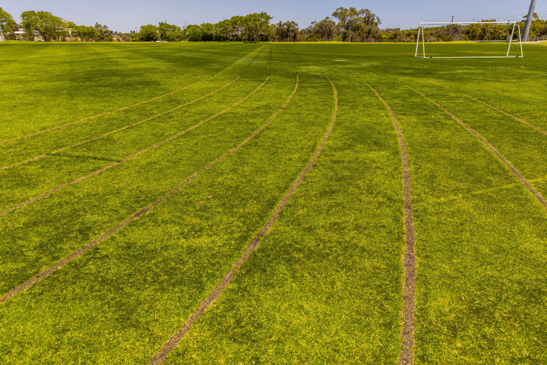 Line markings on Western Oval