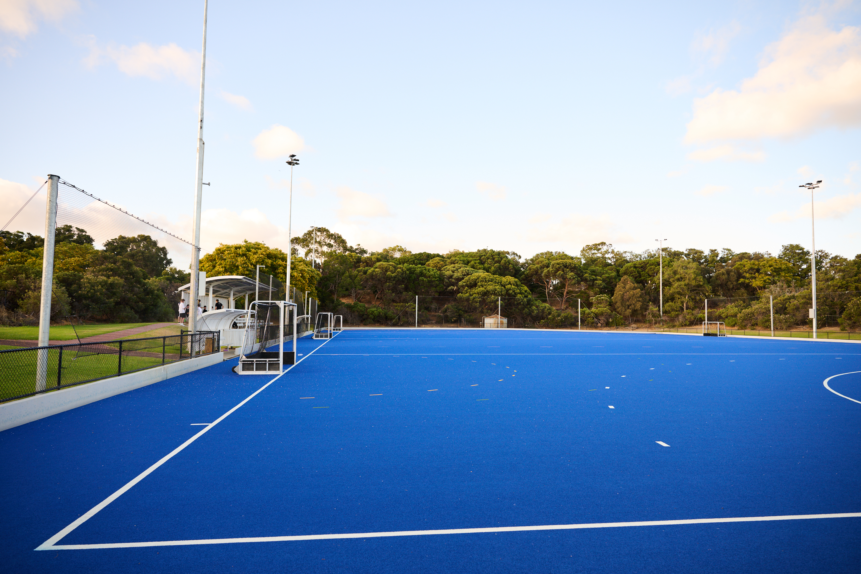 Hockey goals and surrounding astroturf