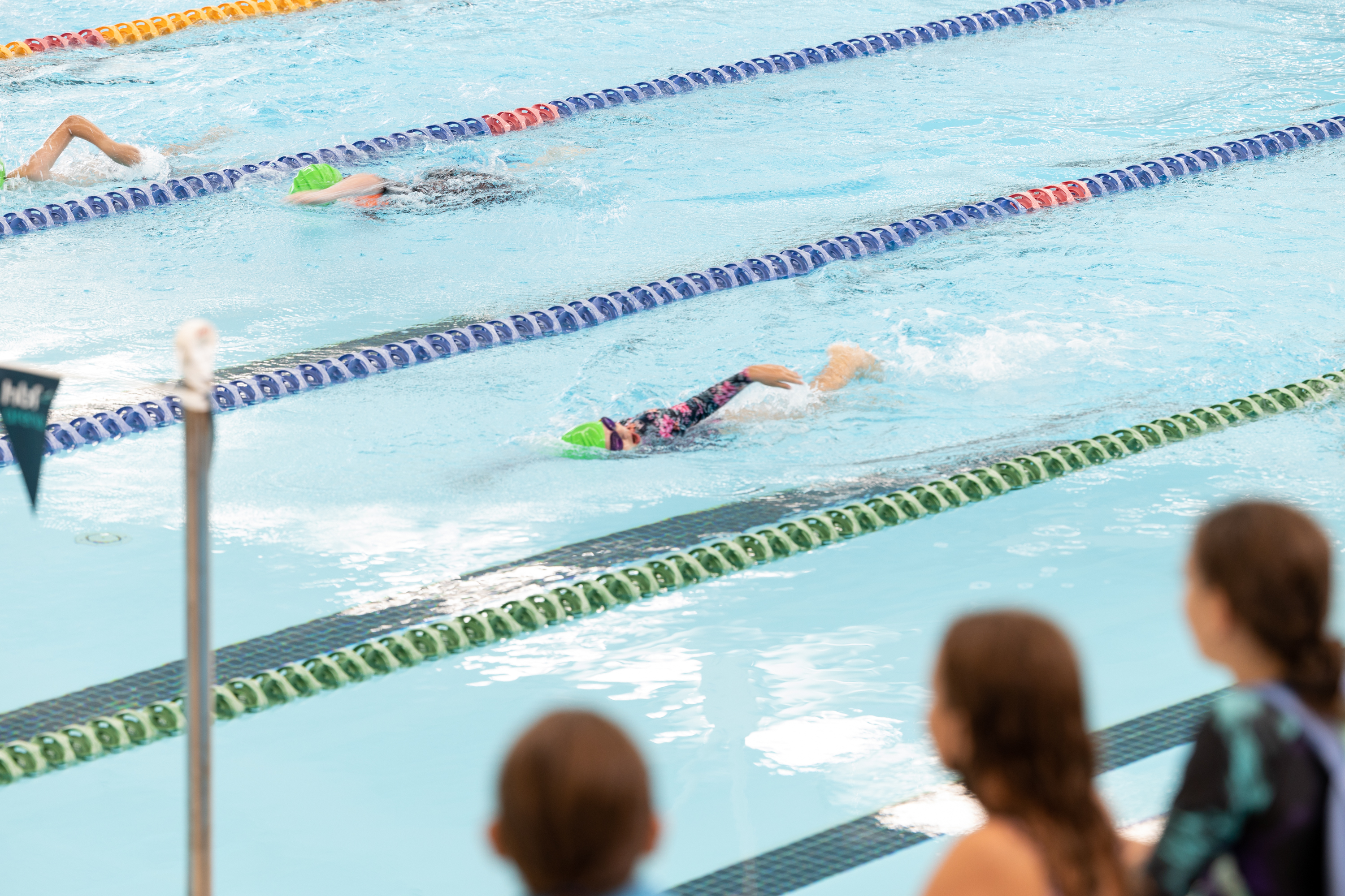 Swimming carnival race